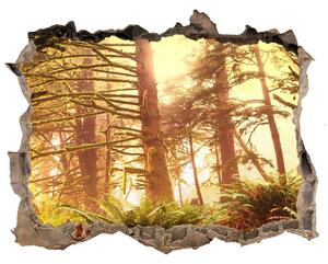 Díra 3D ve zdi nálepka Dažďový prales nd-k-49624439