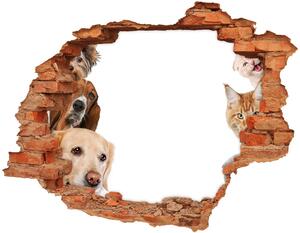 Diera 3D v stene nálepka Psy a mačky nd-c-104206550