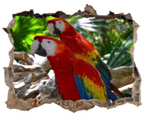 Díra 3D fototapeta nálepka Papagáje ara nd-k-101702658