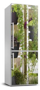 Nálepka fototapety na chladničku Kvetinová záhrada