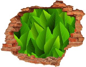 Nálepka 3D diera samolepiaca Zelené listy nd-c-90288454