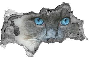 Diera 3D fototapeta na stenu Mačacie modré oči
