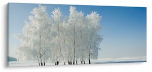 Obraz zasneženej krajiny (120x50 cm)