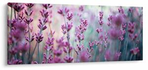 Obraz - Levanduľa (120x50 cm)