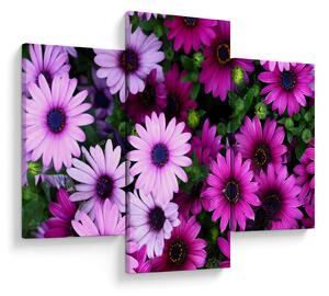 Obraz - Kvety (90x60 cm)