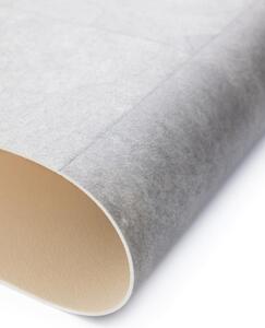 PVC podlaha Maxima Plus 57206