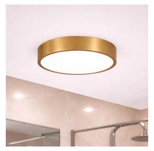 Brilagi - LED kúpeľňové stropné svietidlo POOL LED/24W/230V pr. 30 cm IP54 bronz