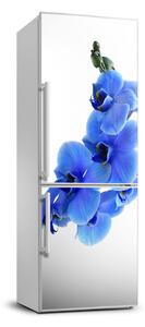 Nálepka fototapeta Modrá orchidea