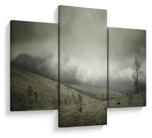 Obraz krajiny pred búrku (90x60 cm)