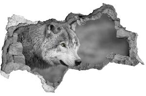 Diera 3D fototapeta na stenu Šedý vlk nd-b-125421387