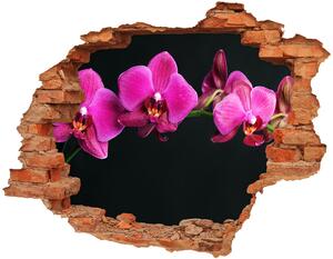 Samolepiaca diera nálepka Orchidea nd-c-64284743