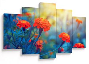 Obraz - Oranžové kvety (150x105 cm)