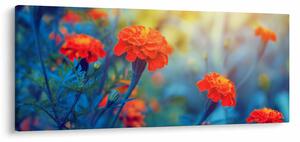 Obraz - Oranžové kvety (120x50 cm)