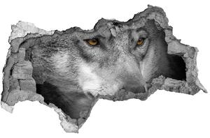 Diera 3D fototapeta na stenu nálepka Vlk nd-b-103311727