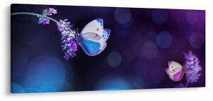 Obraz - Motýle na levanduli (120x50 cm)