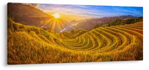 Obraz - Ryžové terasy vo Vietname (120x50 cm)