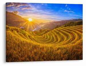 Obraz - Ryžové terasy vo Vietname (70x50 cm)