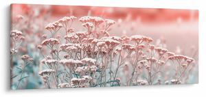 Obraz - Lúčne kvety (120x50 cm)