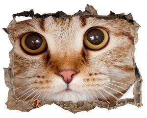 Díra 3D fototapeta nálepka Mačka nd-k-35664648