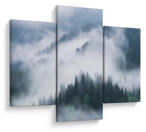 Obraz - Stromy v hmle (90x60 cm)