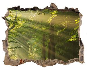 Nálepka fototapeta 3D výhled Forest na slnku nd-k-71351198