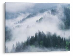 Obraz - Stromy v hmle (70x50 cm)