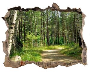 Díra 3D ve zdi nálepka Cesta v lese nd-k-4509873