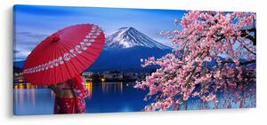 Obraz - Výhľad na vrchol, Japonsko (120x50 cm)