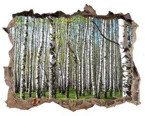 Nálepka fototapeta 3D výhled Brezového lesa nd-k-64516023