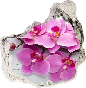 Diera 3D fototapety na stenu Orchidea na dreve