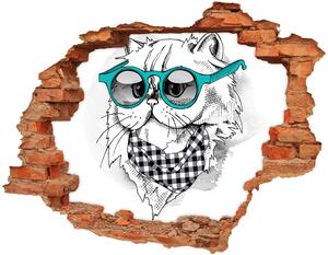 Fototapeta diera na stenu 3D Mačka s okuliarmi