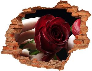 Fototapeta diera na stenu Žena s ruží nd-c-6668624