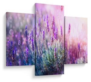 Obraz - Levanduľa vo trblietania slnka (90x60 cm)