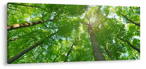 Obraz - Les (120x50 cm)