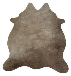 Hovädzia predložka mini 5