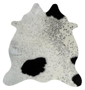 Hovädzia predložka mini 11 (Kopírovat) (Kopírovat) (Kopírovat) (Kopírovat)