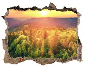 Nálepka fototapeta 3D Forest sunset nd-k-82972520