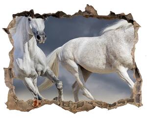 Díra 3D fototapeta na stěnu White horse beach