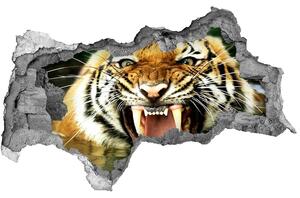 Diera 3D fototapeta nálepka Revúci tiger nd-b-609474