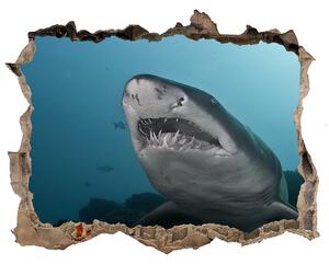 Díra 3D fototapeta nálepka Veľký žralok nd-k-120086004