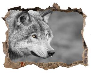 Díra 3D fototapeta na stěnu Šedý vlk nd-k-125421387
