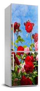 Foto nálepka na chladničku stenu Divoká ruža