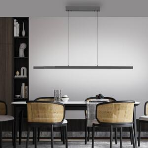 Paul Neuhaus LED závesné svietidlo Adriana Comfort Lift, sivá,, Hliník / sivá / zinok, Obývacia izba / jedáleň, Hliník, Moderný, Závesné svietidlo