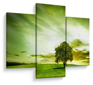 Obraz - Strom života (90x60 cm)