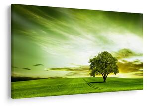 Obraz - Strom života (90x60 cm)