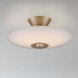 Paul Neuhaus stropné LED svetlo Elipsa, biele/bronzové, Ø 35 cm, Biela / opálová, Obývacia izba / jedáleň, Sklo