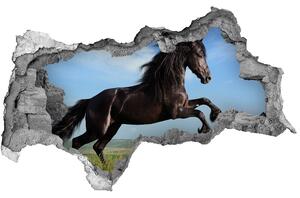 Diera 3D fototapeta na stenu Čierny kôň na lúke