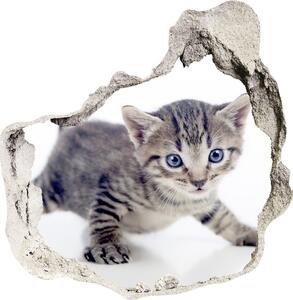 Samolepiaca diera na stenu Malá mačka nd-p-95620650
