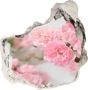 Fototapeta diera na stenu 3D Divoká ruža nd-p-113333755