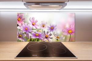 Panel do kuchyne Kvety na lúke pl-pksh-100x50-f-50039707
